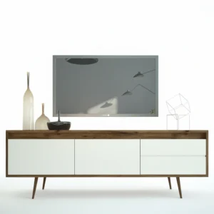 SABA TVUnit